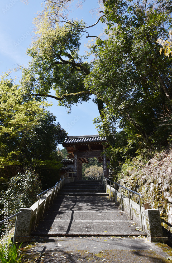 Obraz premium 善峯寺 参道と東門 京都市西京区