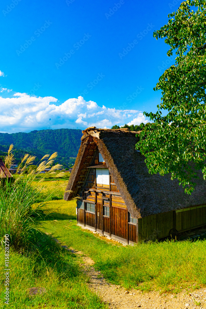 Shirakawa-go in Gifu, Japan | Historic and Scenic Japanese Village Shirakawa-go in Gifu, Japan | Historic and Scenic Japanese Village