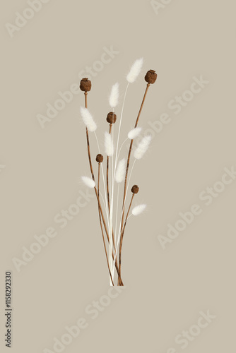 Mixed Bouquet of White Foxtail Grass Stems and Brown Poppy Flower Bulbs