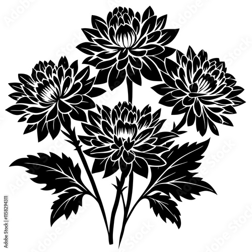 vector illustration of chrysanthemum flower nature plant cartoon design style