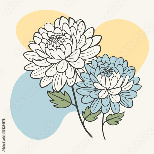 vector illustration of chrysanthemum flower nature plant cartoon design style