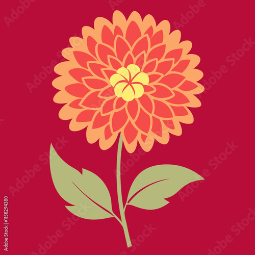 vector illustration of chrysanthemum flower nature plant cartoon design style