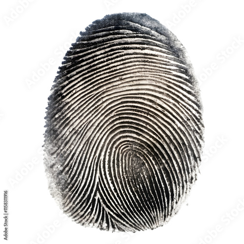 fingerprint