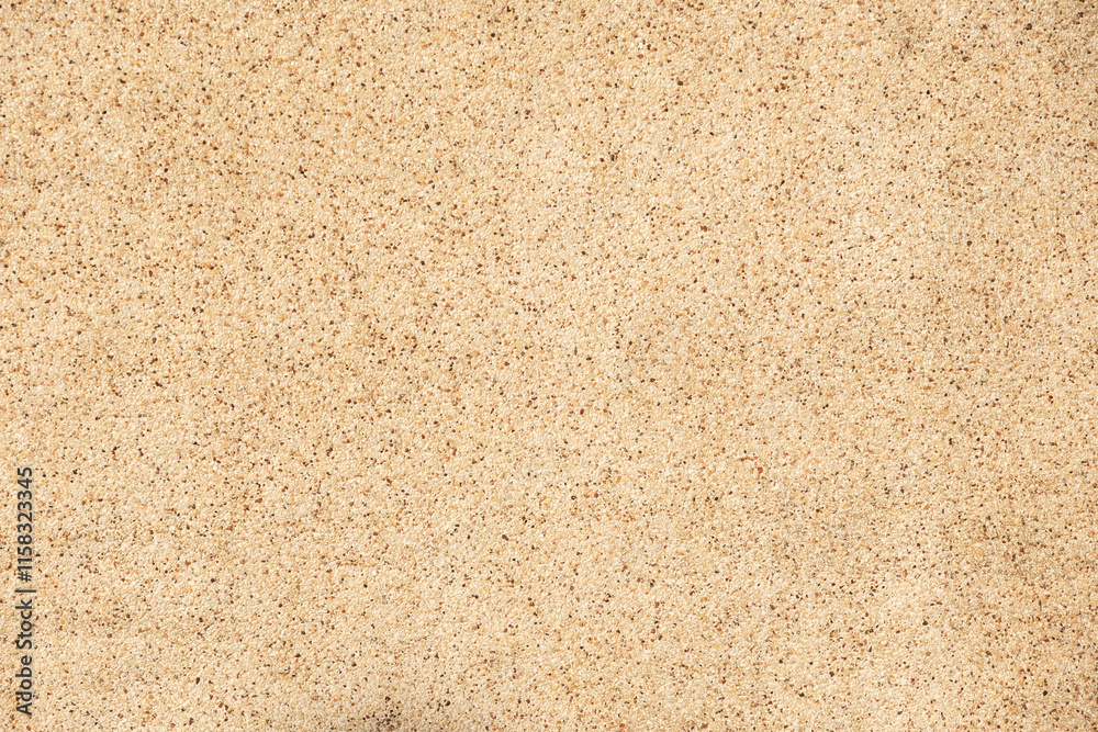 Wall interior background, studio and backdrops show products. with leaf shadow from window color beige and white. background for text insertion and presentation of product
Wall interior background, studio and backdrops show products. with leaf shadow from window color beige and white. background for text insertion and presentation of product