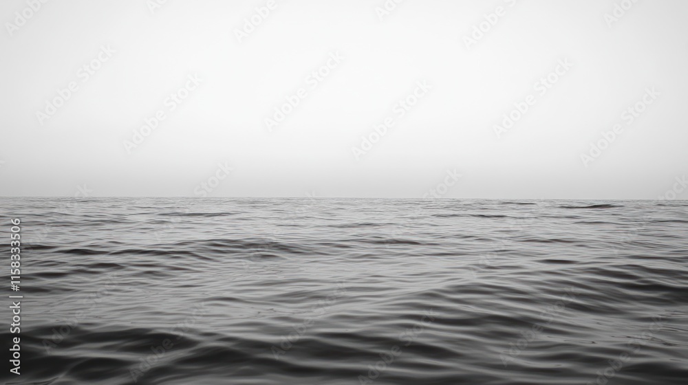 Obraz premium Monochromatic seascape; calm ocean waves under a hazy sky.