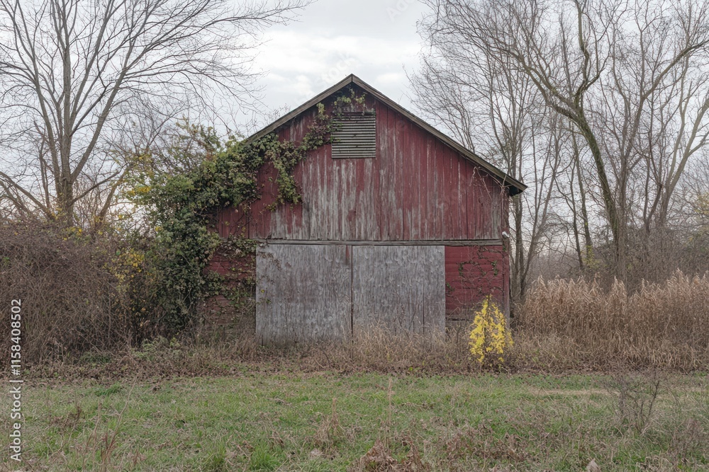Weathered red barn with ivy, boarded-up doors, and overgrown vegetation in a rural landscape. Weathered red barn with ivy, boarded-up doors, and overgrown vegetation in a rural landscape.