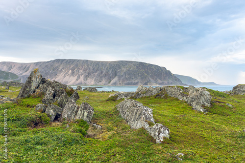 Sharp-edged rock ridges an low vegetation by the Barents Sea. Berlevåg, Finnmark, Northern Norway photo