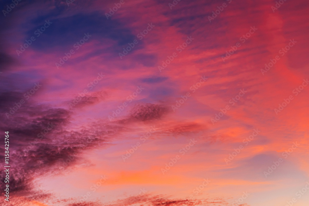 Fototapeta premium Pink clouds at sunset in a beautiful blue sky in the evening