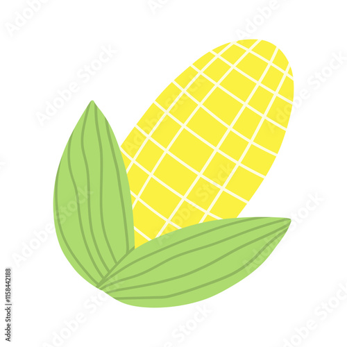 Corn vector illustration