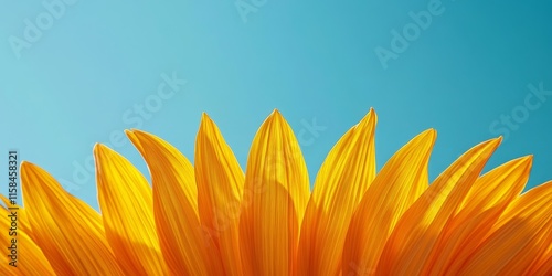 Vibrant yellow sunflower petals stand out against a clear blue sky, creating a stunning visual of sunflower beauty and nature s brilliance with vivid colors. photo