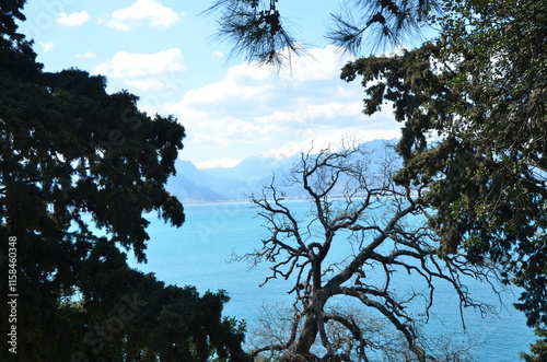 deep blue sky sea view