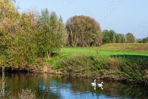 Aménagement du territoire autour de la rivière l'Ill en Alsace, enjeux de sécurité publique : une approche proactive face aux risques photo