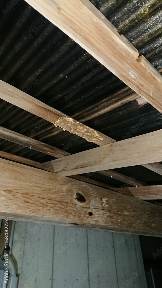 1669)Traces of exterminating yellow vented hornet nests on terrace beams(Photo taken at 20:53 on july 24, 2017) 1669)Traces of exterminating yellow vented hornet nests on terrace beams(Photo taken at 20:53 on july 24, 2017)