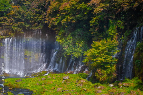 Shiraito Falls is one of the most beautiful waterfalls in Japan. The water flows from the melting snow on Mt. Fuji. It is most beautiful in late November. Shizuoka Prefecture, Japan
 photo