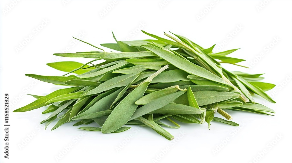 Fototapeta premium Pile of tarragon leaves, estragon isolated on white background