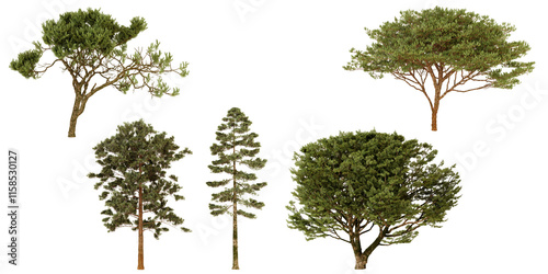 Collection of various treetop models transparent background