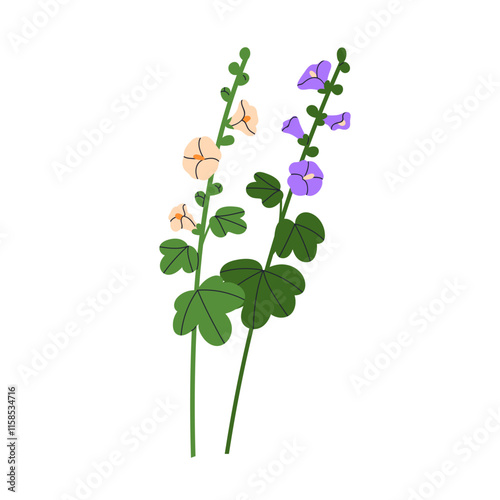 Mallows, flower branches, stems with leaves. Delicate malva blossoms. Floral ...