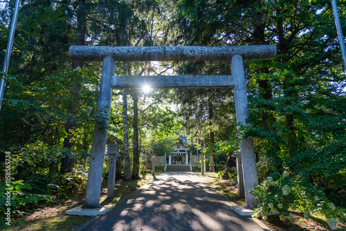 十勝、音更神社の鳥居