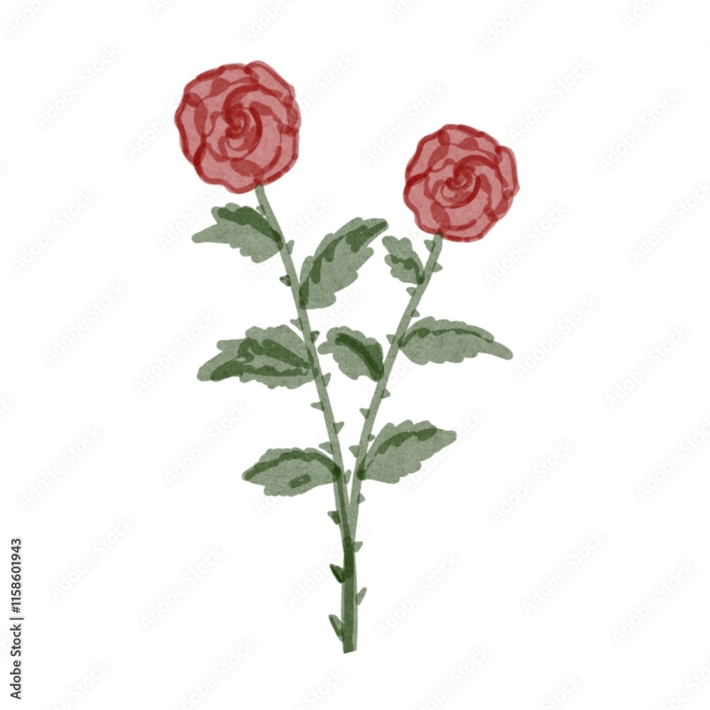 Obraz premium red rose isolated on white background