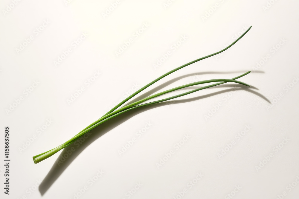 Innovative elevated angle shot of a chive with dynamic lighting and soft shadows. Innovative elevated angle shot of a chive with dynamic lighting and soft shadows.