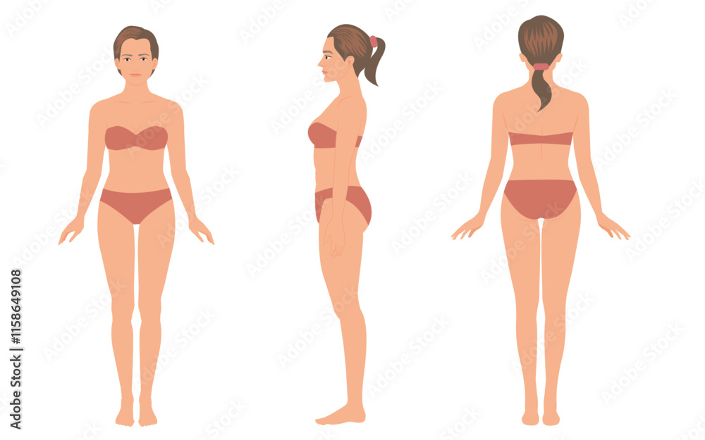 woman body anatomy, front, back, side view, illustration woman body anatomy, front, back, side view, illustration