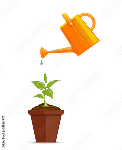 Young green plant in flowerpot is watered from plastic watering can. Green indoor plant in pot. Young plant with watering can and water drops. Vector illustration isolated on white