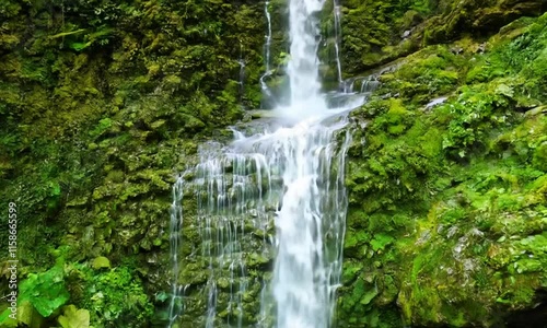 The Tranquil Beauty of a Mossy Rock Waterfall
 photo