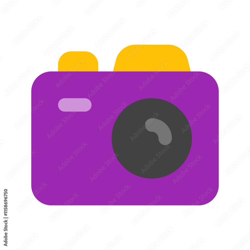 camera flat icon camera flat icon