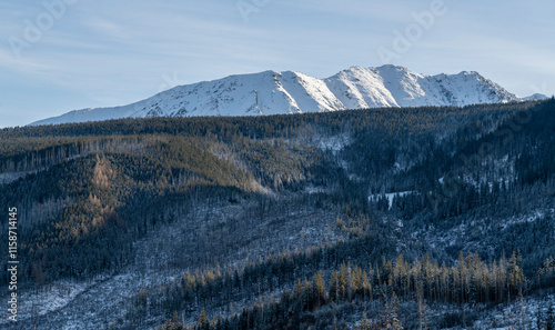 Fototapeta Naklejka Na Ścianę i Meble -  Winter mountain scenery. A snow-covered ridge jutting out above the forest.