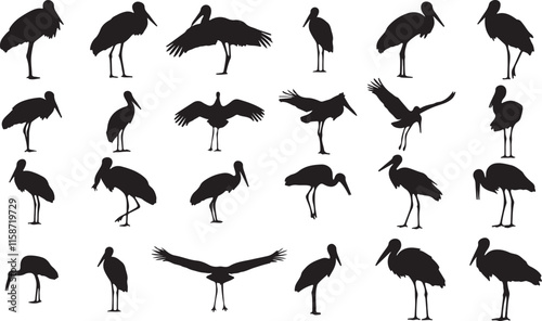Stork Silhouettes Collection