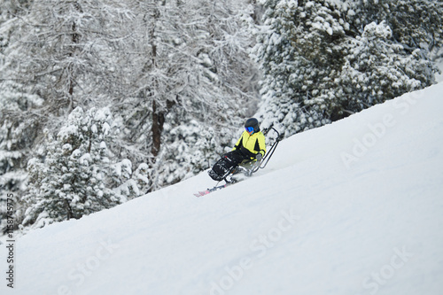Adaptive Skiing on Snowy Alpine Slopes. Extreme sport and holiday concept.