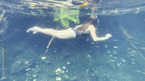 Swimming in Heart Cenote, Yucatán, Mexico , Underwater Adventure and Bathing. Exploring Heart Cenote in Yucatán, Mexico ,  Swim, Dive, and Relax in Crystal Waters