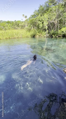Heart Cenote in Mexico with crystal-clear waters and visible stones. A person happily jumping into the water. Warm, blue-green waters perfect for a family vacation in Yucatán, Mexico.