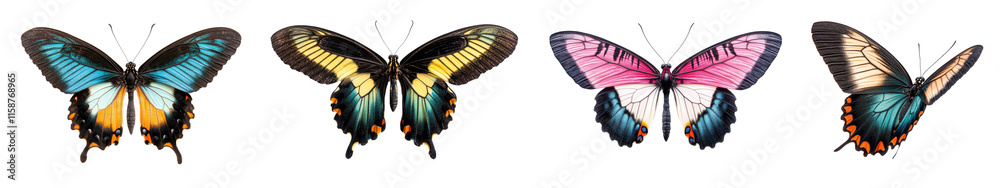 Fototapeta premium Set of four tropical butterflies featuring vibrant colors and detailed wing patterns, isolated on a white background for clarity