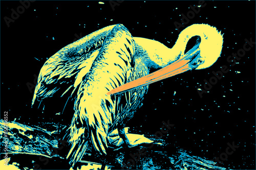 Pelikan