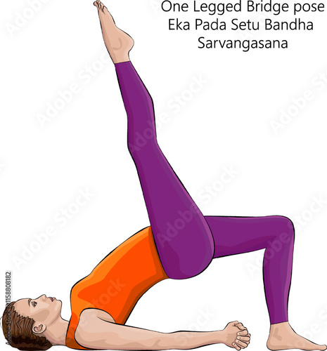 Young woman practicing Eka Pada Setu Bandha Sarvangasana yoga pose. One Legged Bridge pose.Intermediate Difficulty. Isolated vector illustration.