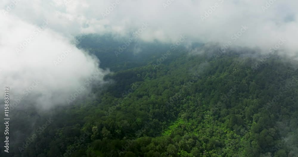 Picturesque tropic mountains of Bali island surrounded by clouds Picturesque tropic mountains of Bali island surrounded by clouds