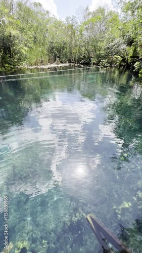 Heart Cenote in Mexico with crystal-clear waters and visible stones. A person happily jumping into the water. Warm, blue-green waters perfect for a family vacation in Yucatán, Mexico.