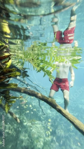 Swimming in Heart Cenote, Yucatán, Mexico , Underwater Adventure and Bathing. Exploring Heart Cenote in Yucatán, Mexico ,  Swim, Dive, and Relax in Crystal Waters