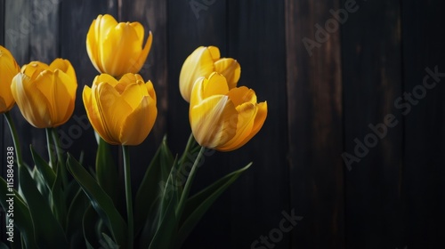 A minimalist composition of yellow tulips against a dark wooden background, angled shot, Dramatic style photo