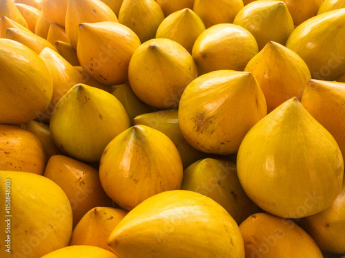 Canistel fruit or Eggfruit, in Thai names like Xiantao, Lamut Khamen or Mon khai photo