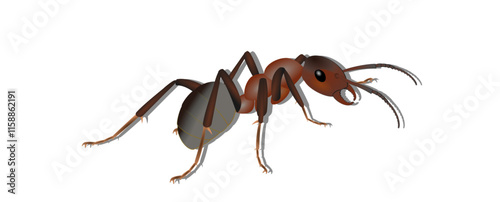 ant, insect, macro, nature, animal, bug, black, closeup, isolated, small, ants, antenna, green, leg, formica, leaf, close-up, white, close up, fauna, spider, jaw, red, worker, pest