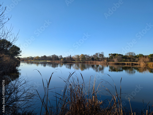 golf course, recreation, grass, trees pond, water, view, landsca photo