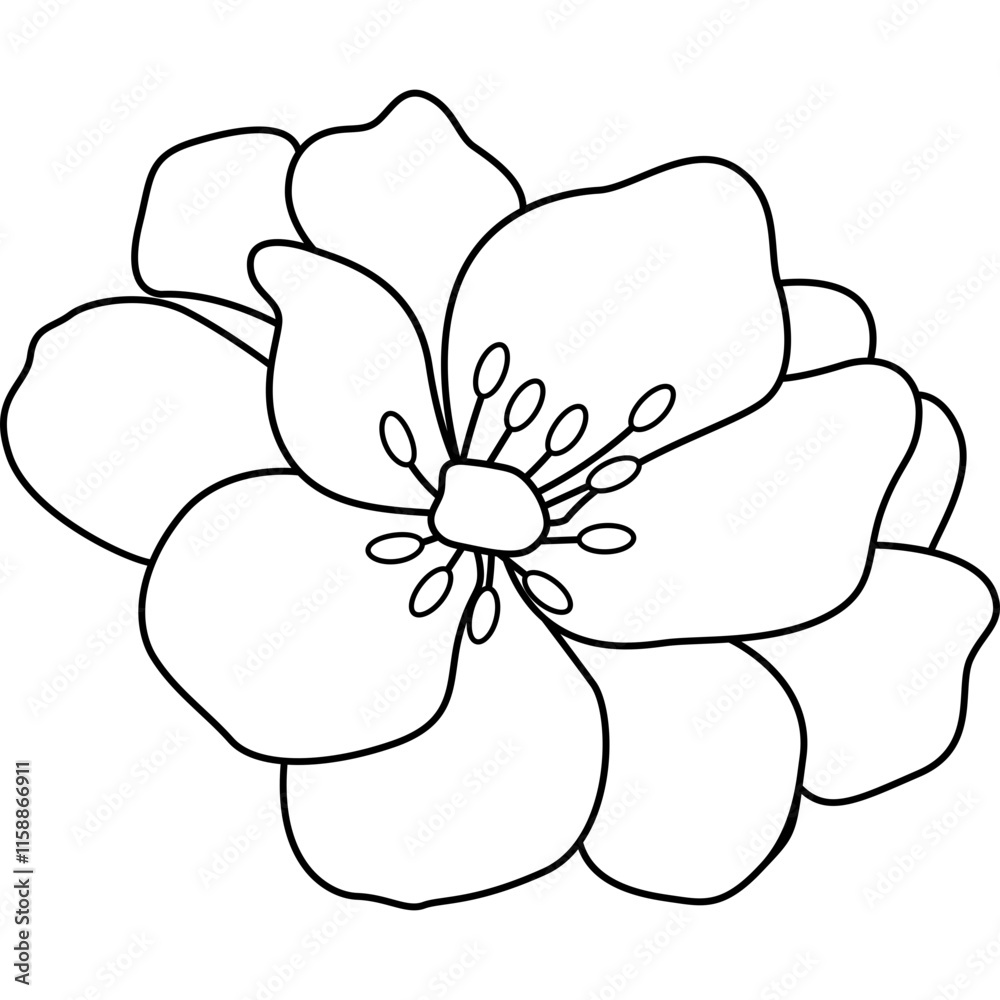 Fototapeta premium Flower Line Decoration