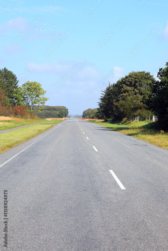 very long straight stretch of asphalt road with no cars, ideal as a concept for travel or an adventurous future very long straight stretch of asphalt road with no cars, ideal as a concept for travel or an adventurous future