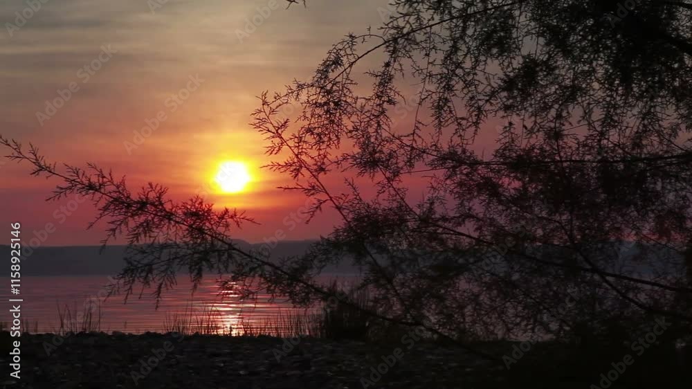 sunset at sea through tree leaves sunset at sea through tree leaves