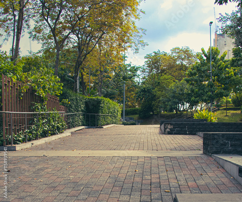 Pathway in the Garden