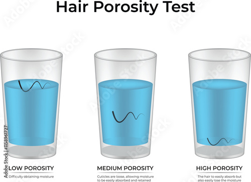 Hair Porosity Test Low Porosity Medium Porosity High Porosity Design Vector Illustration