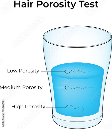Hair Porosity Test Low Porosity Medium Porosity High Porosity Design Vector Illustration