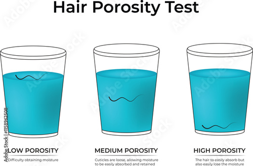 Hair Porosity Test Low Porosity Medium Porosity High Porosity Design Vector Illustration